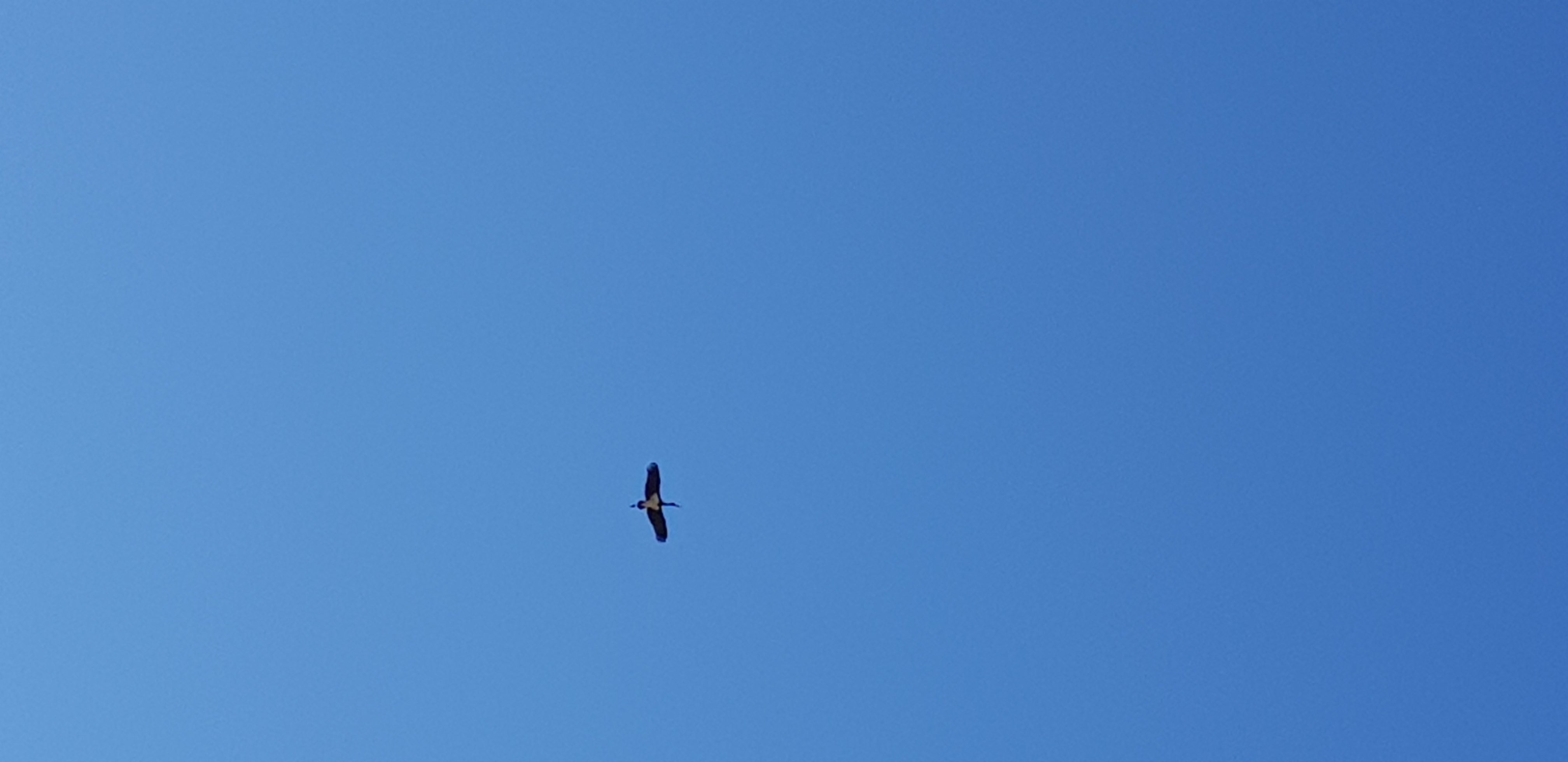 20190812_100017.jpg